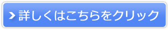 トラベリスト販売サイトへ